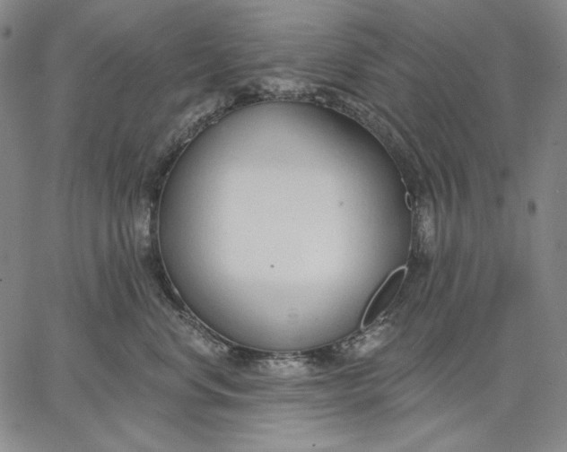 X0000067330668200604131702