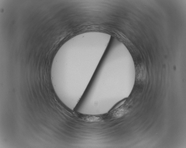 X0000067330669200604131702