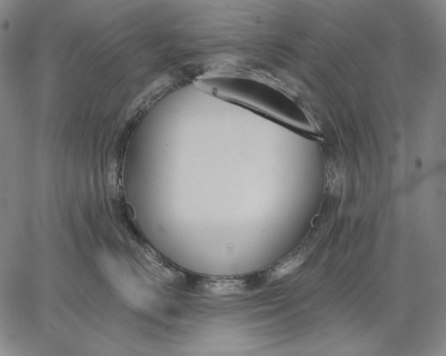 X0000067330670200604131702