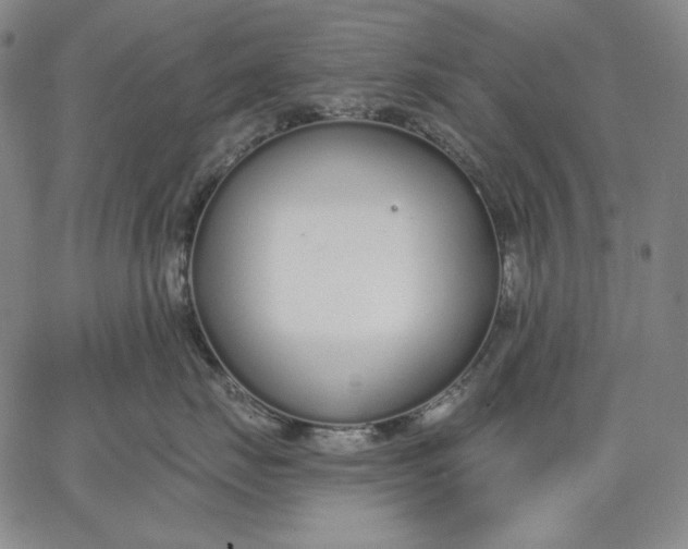 X0000067330671200604131702