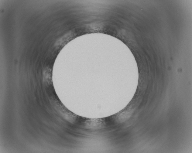 X0000067330672200604131702