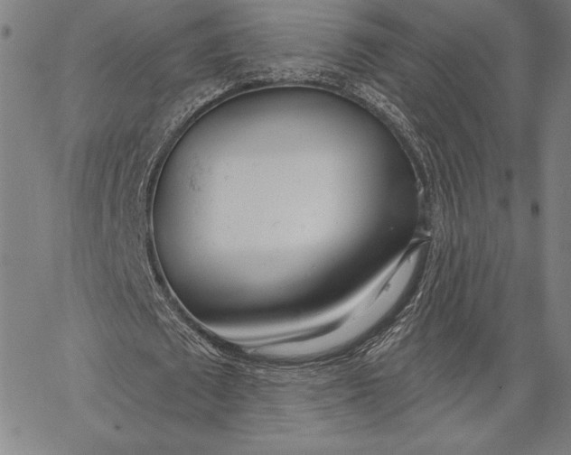 X0000067330673200604131701