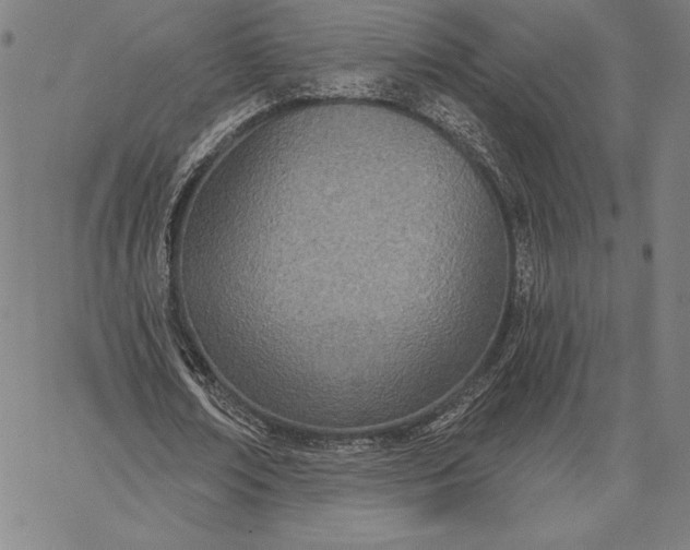 X0000067330674200604131701