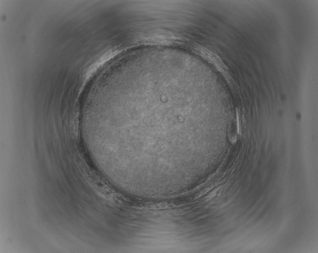 X0000067330675200604131701