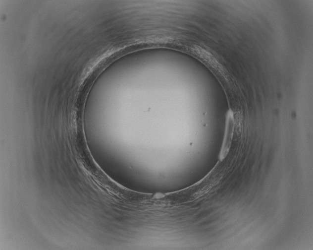 X0000067330676200604131701