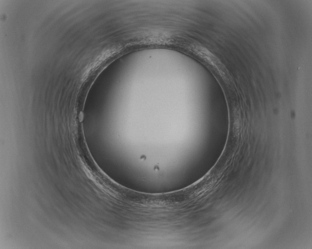 X0000067330677200604131701