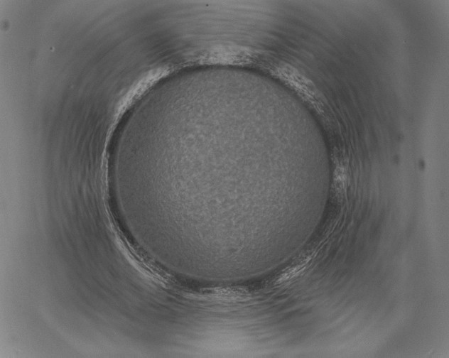 X0000067330678200604131701