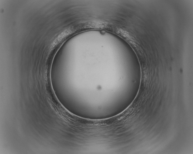 X0000067330679200604131701