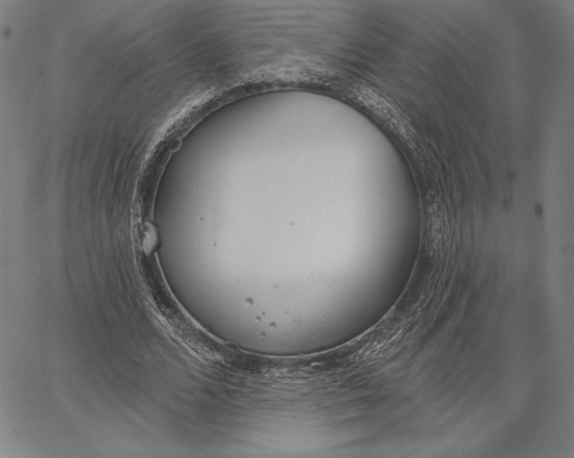 X0000067330680200604131701