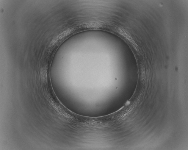 X0000067330681200604131701