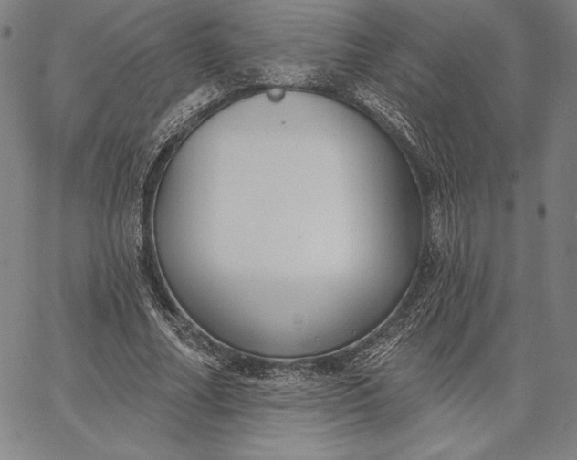 X0000067330682200604131701