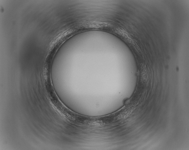 X0000067330683200604131701