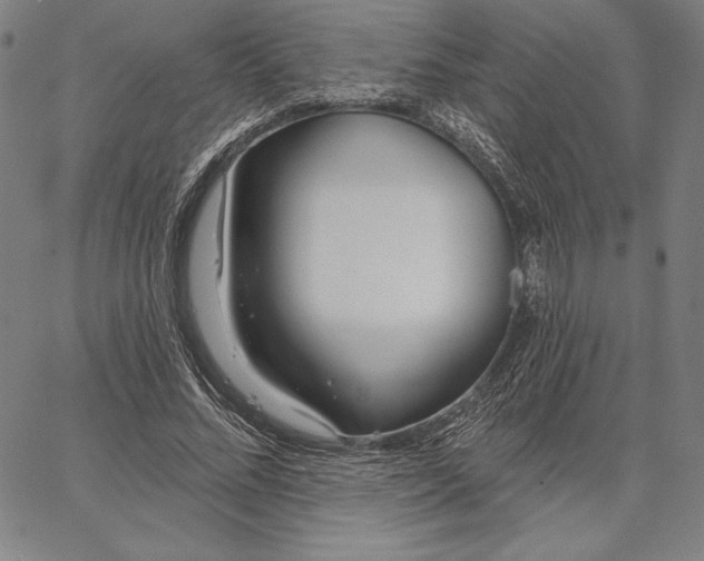 X0000067330684200604131701