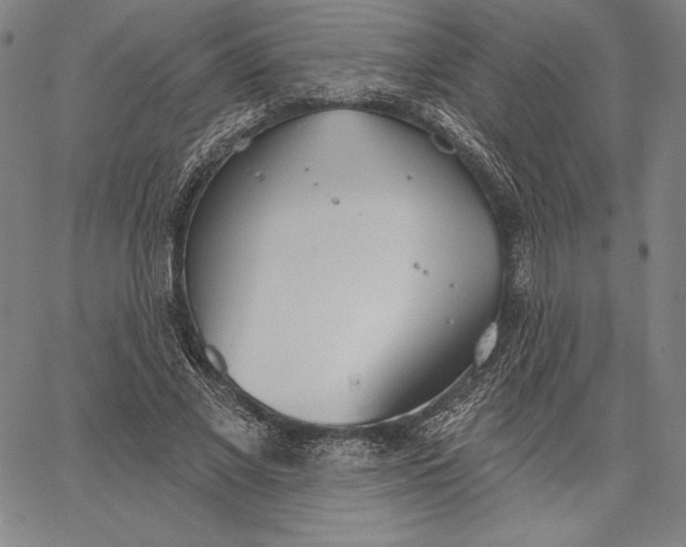 X0000067330685200604131701