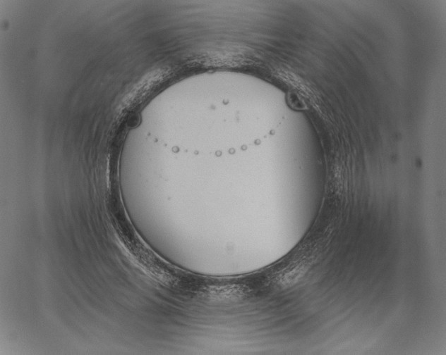 X0000067330686200604131701