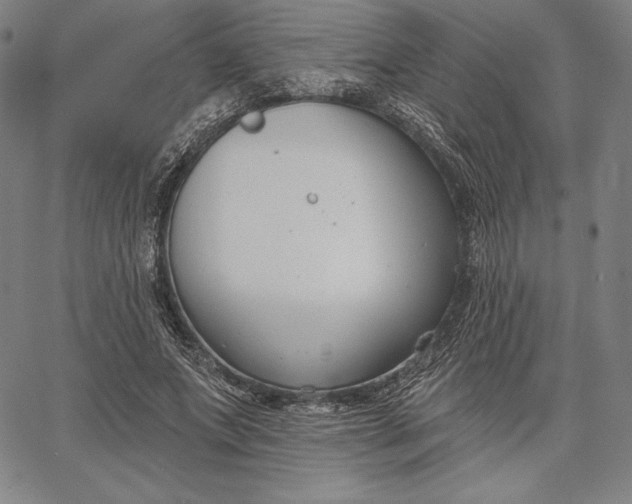 X0000067330687200604131701