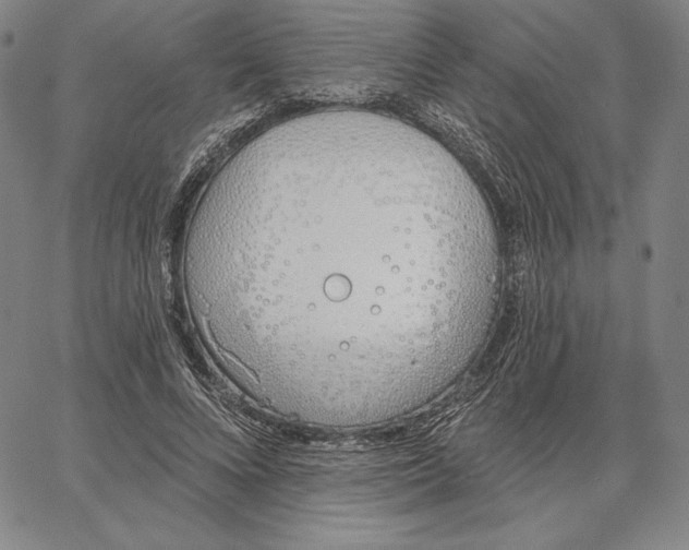 X0000067330688200604131701