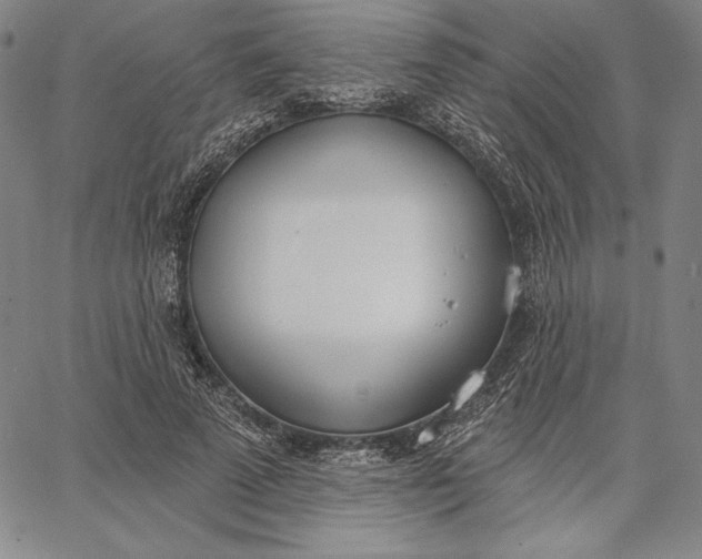 X0000067330689200604131701