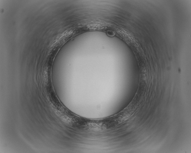 X0000067330690200604131701