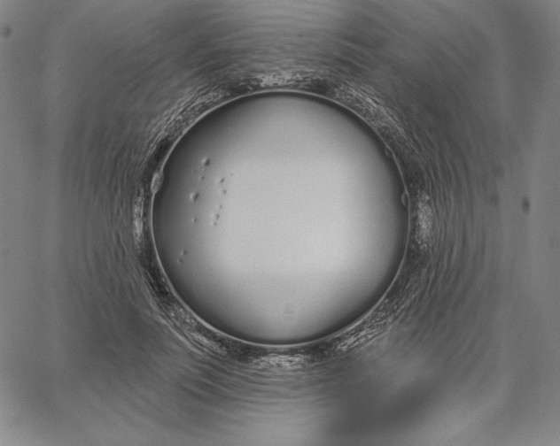 X0000067330691200604131701