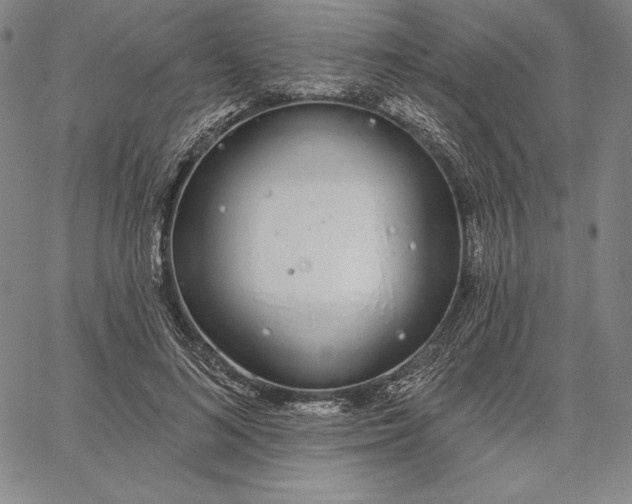 X0000067330692200604131701