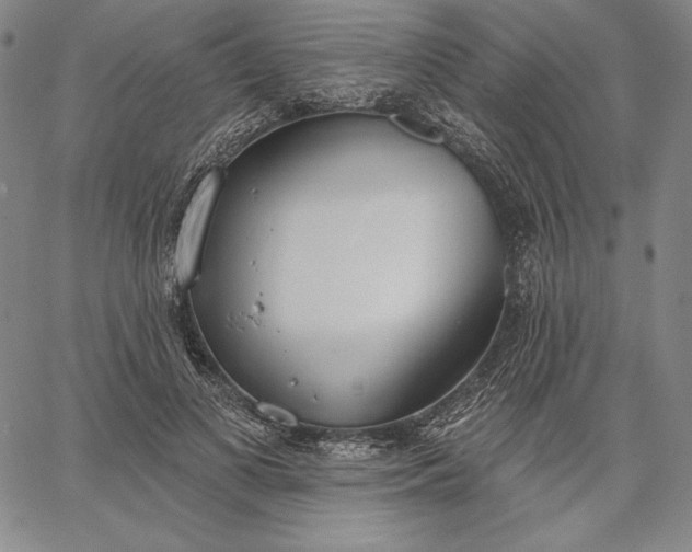 X0000067330693200604131701