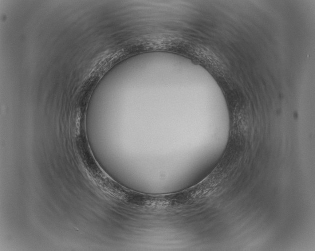 X0000067330694200604131701