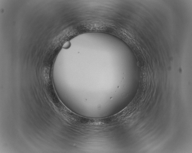 X0000067330695200604131701