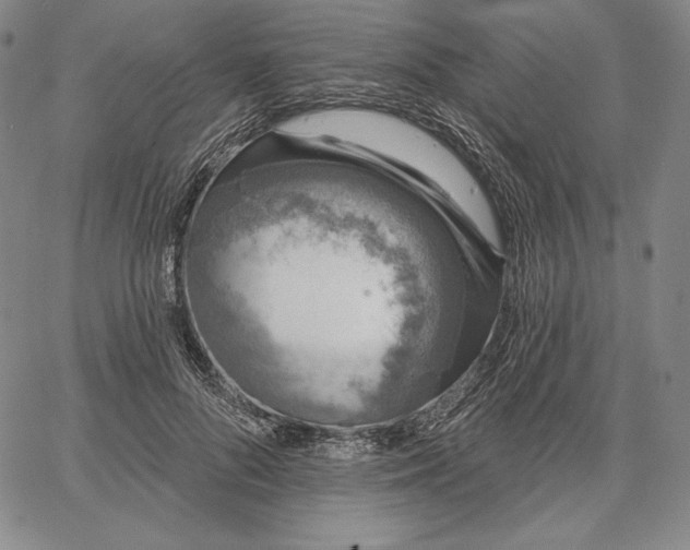 X0000067330696200604131701