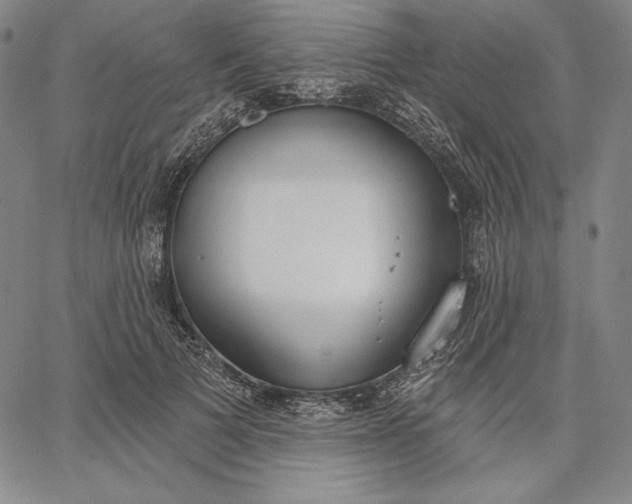 X0000067330697200604131701