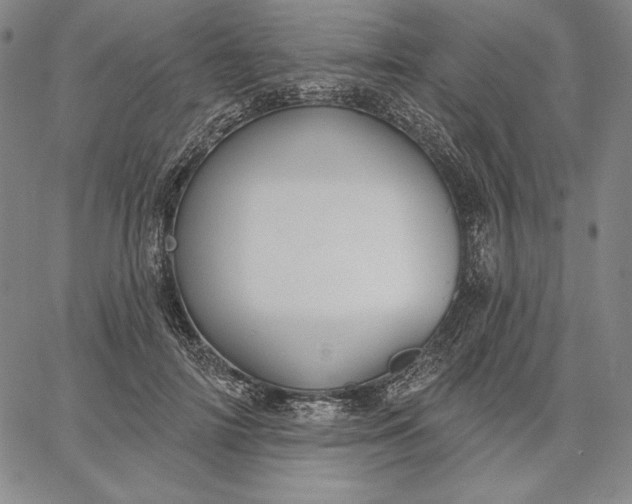 X0000067330698200604131701