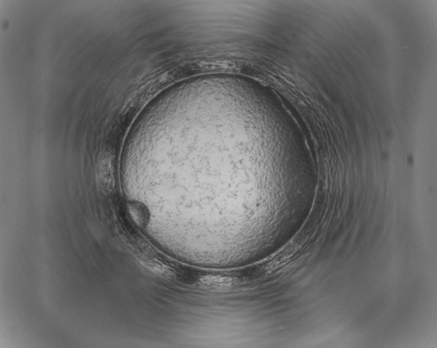 X0000067330699200604131701