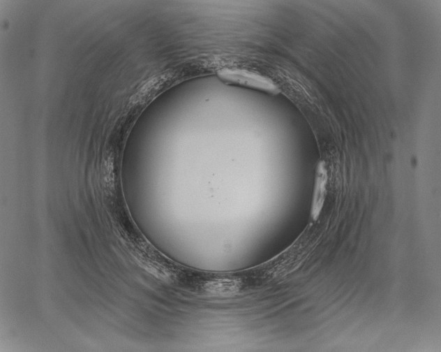 X0000067330700200604131701