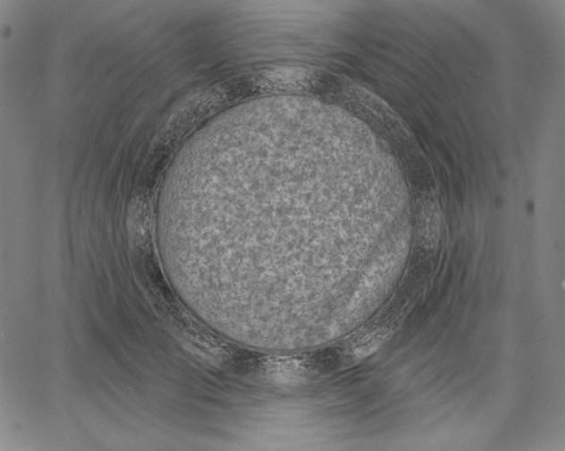 X0000067330701200604131701