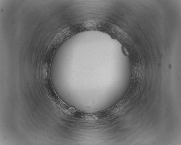 X0000067330702200604131701