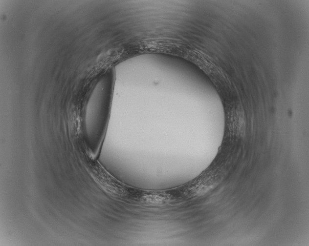 X0000067330703200604131701