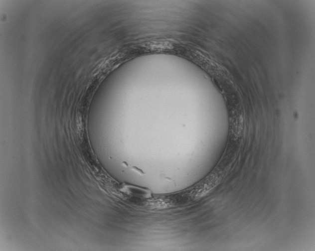 X0000067330704200604131701