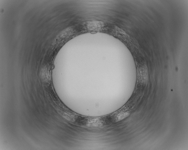 X0000067330705200604131701