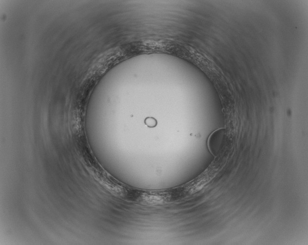 X0000067330706200604131701