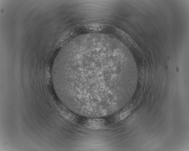 X0000067330707200604131701