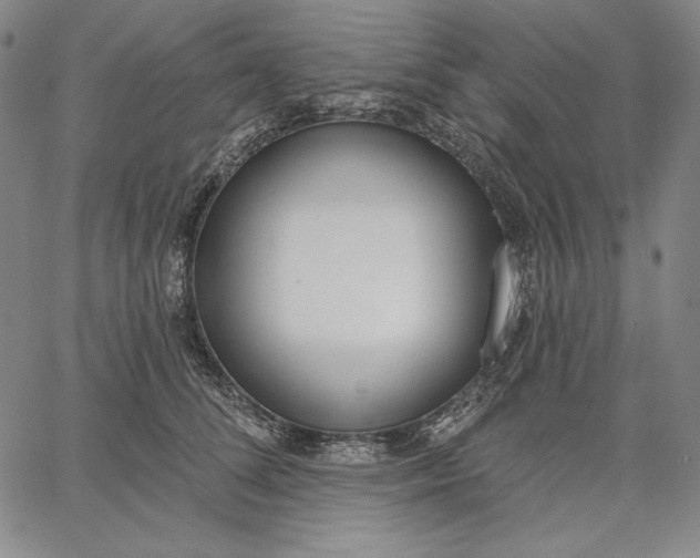 X0000067330708200604131701