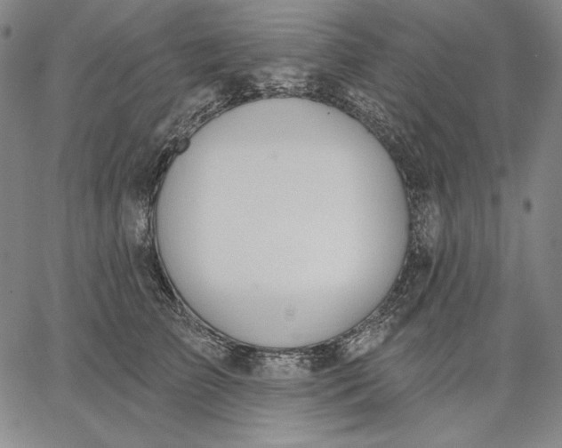 X0000067330709200604131701