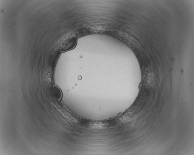 X0000067330710200604131701