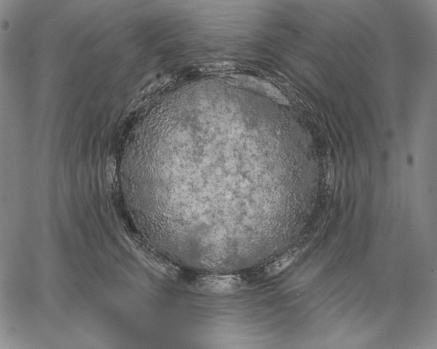 X0000067330711200604131701