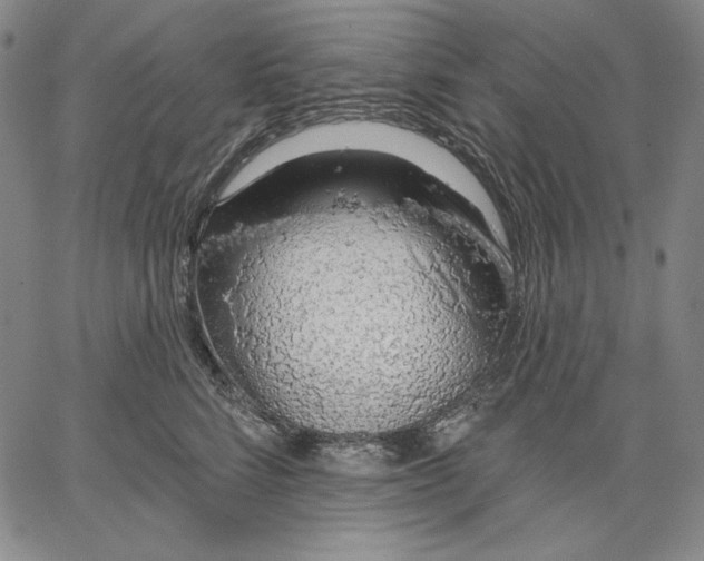 X0000067330712200604131701