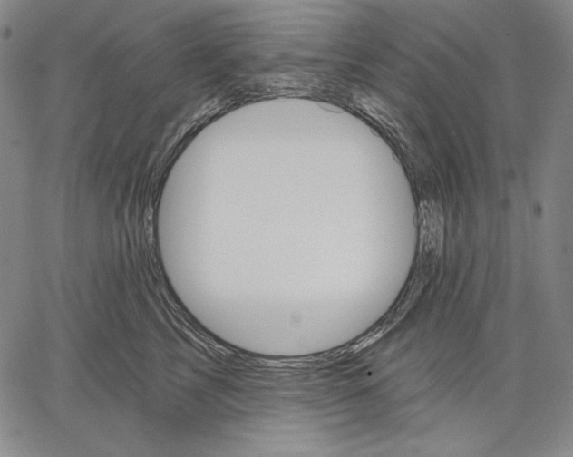 X0000067330713200604131700