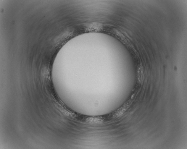 X0000067330714200604131700