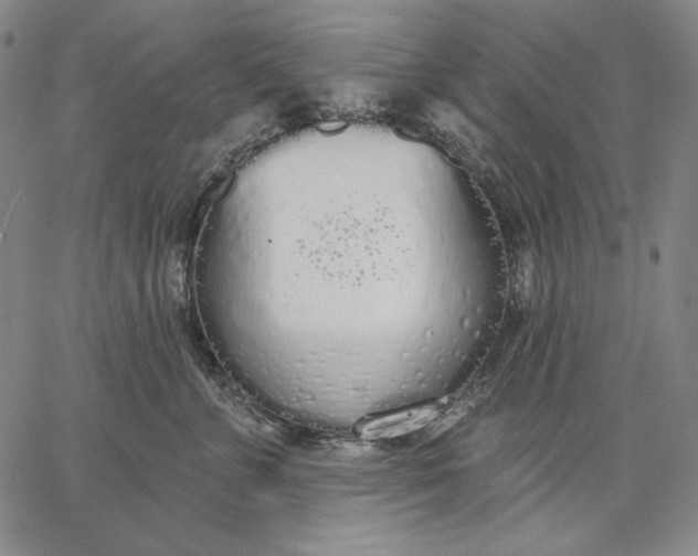 X0000067330715200604131700