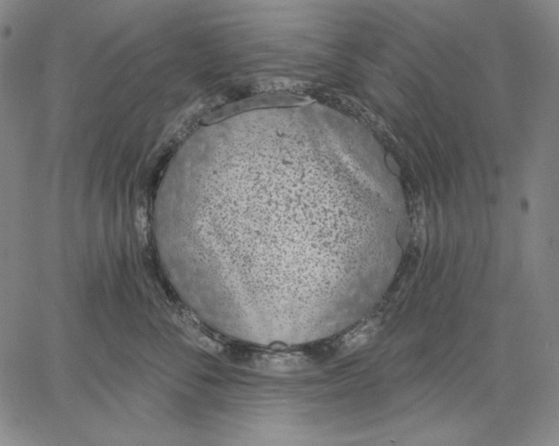 X0000067330716200604131700