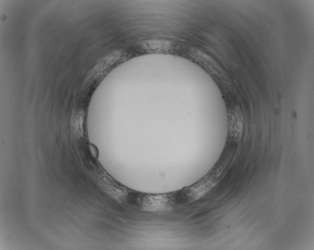 X0000067330717200604131700